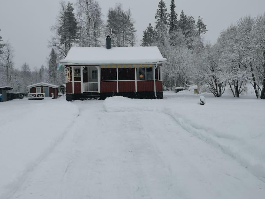 Cabin 70M From Lake. Big Garden Östersund Eksteriør billede